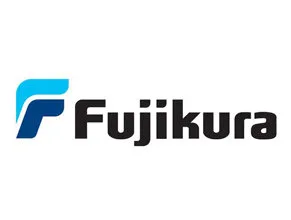 Công Ty Tnhh Fujikura Automotive Việt Nam